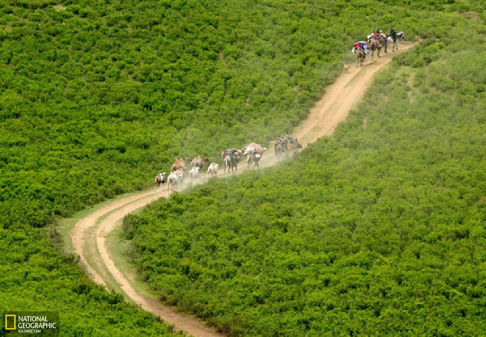 Бурылтоғай ауданының көктемгі көші.