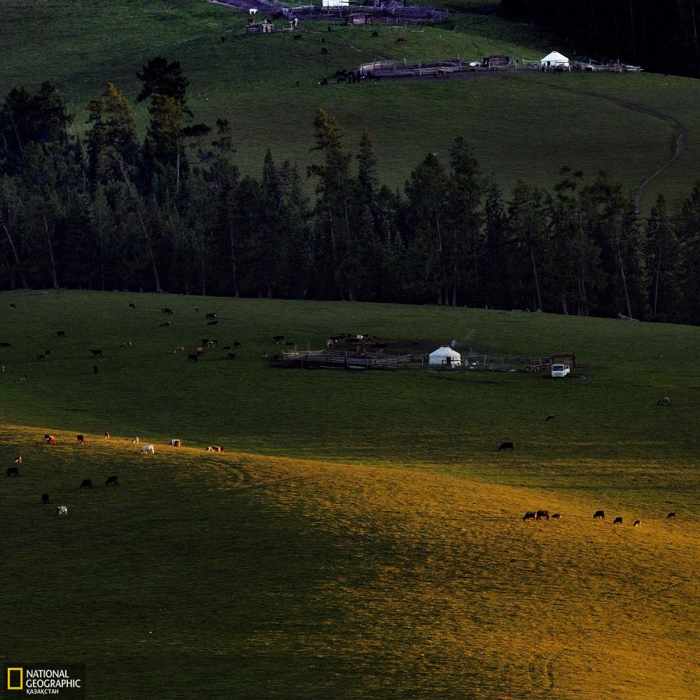 Алтай қаласының Торғайты жайлауы.