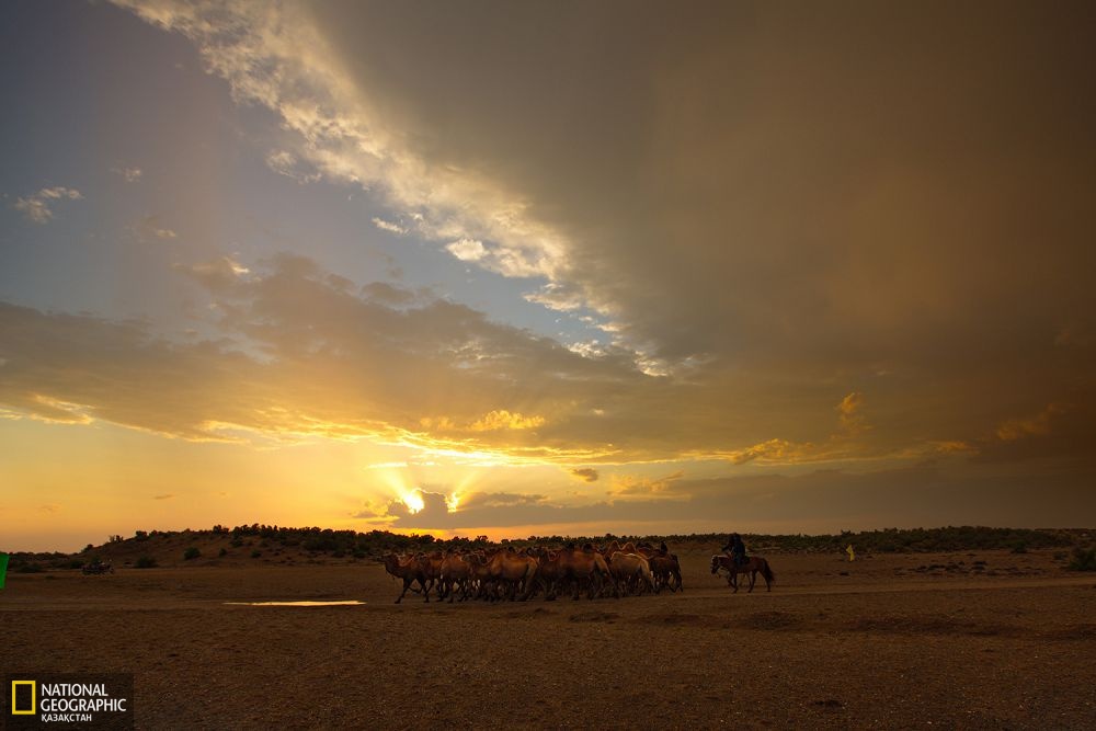 Бурылтоғай ауданының малшылары күзеулікке келген кез