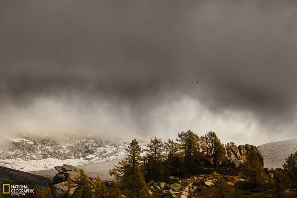 Бурылтоғай ауданының Азубай жайлауы.