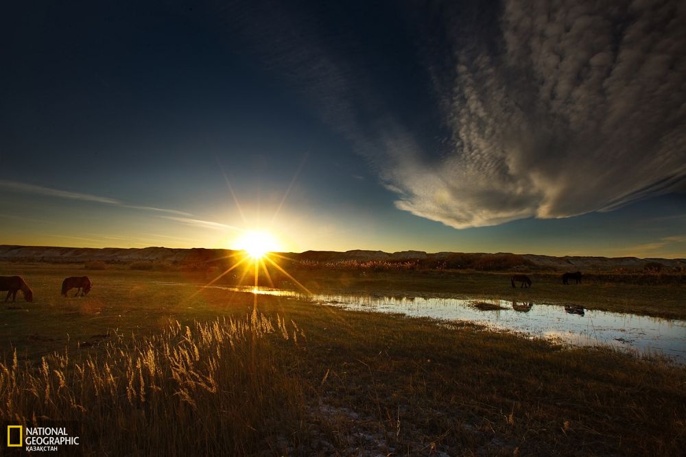 Бурылтоғай ауданының күзеулігі..