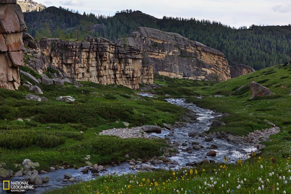 Күйтіңaршa жайлауы.