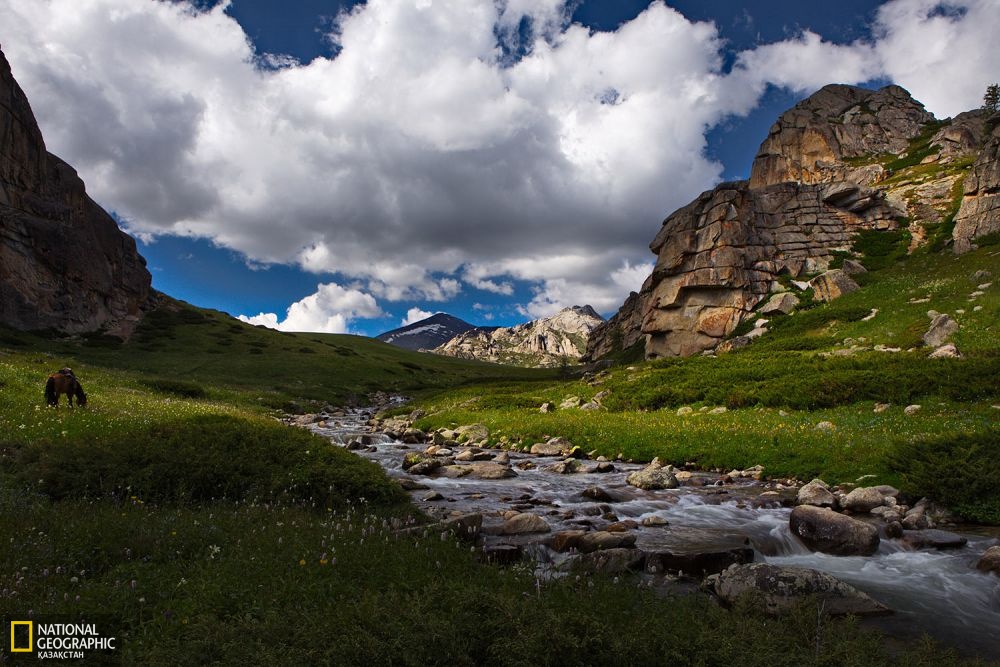 Бурылтоғай ауданының Сұртас жайлауы