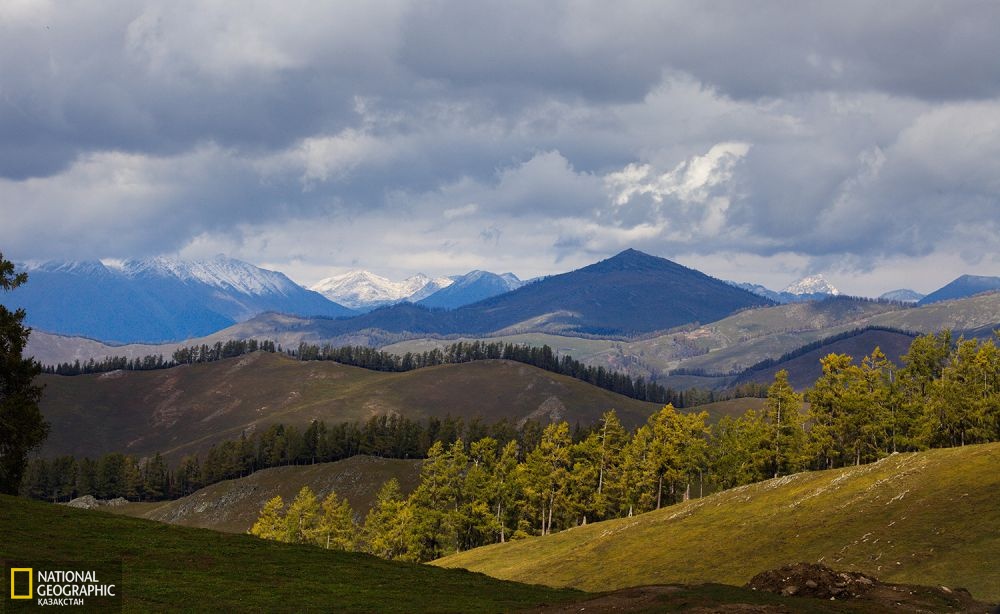 Алтай қаласының Торғайты жайлауы.