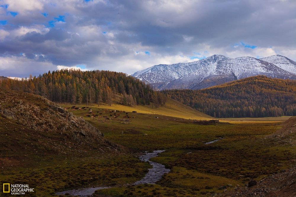 Қаба ауданының аққаба жайлауы.