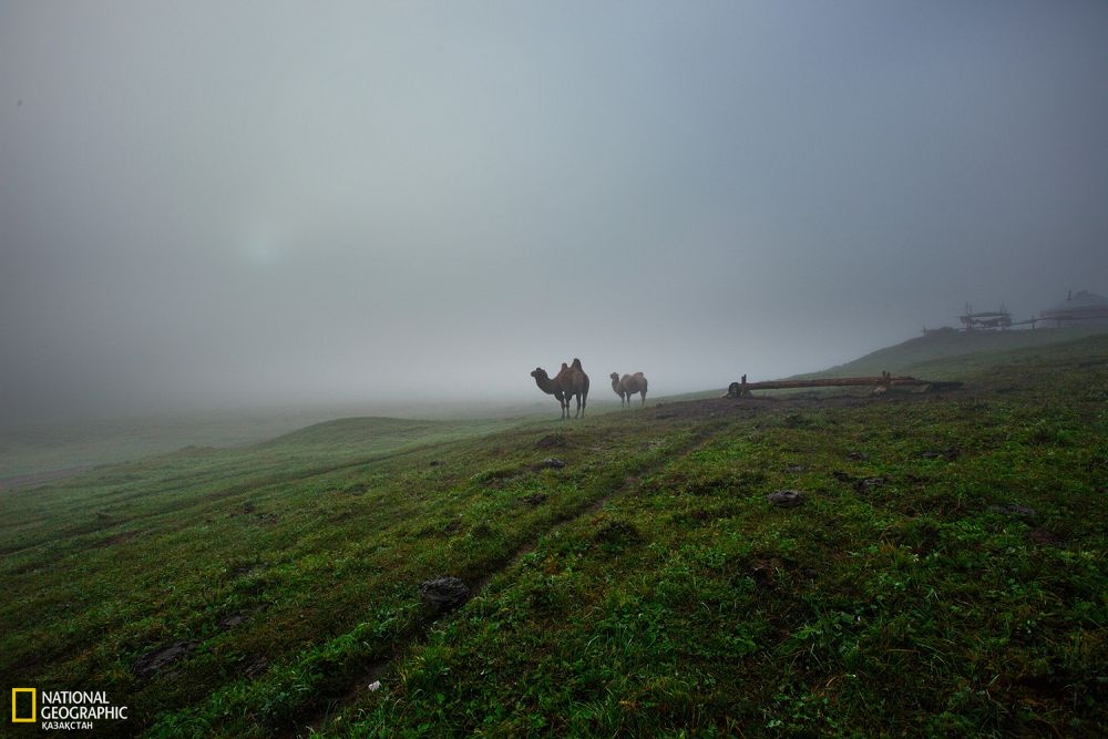 Жеменей ауданының Қараөткел жайлауы.
