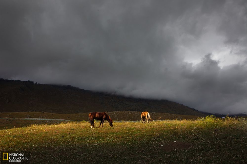 Қаракүңгейті жайлауы.