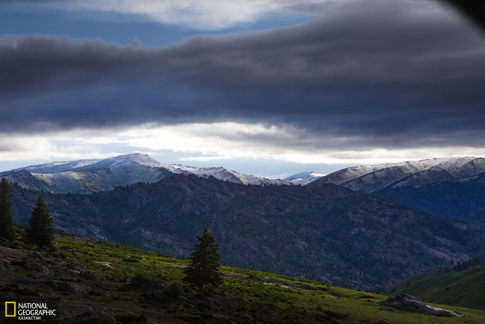 Бурылтоғай ауданының Екөткен жайлауы.