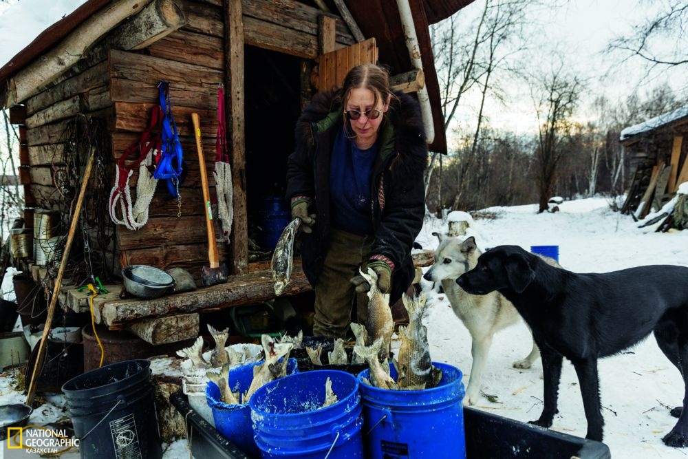 Джули Коллинс үйінің алдында иттеріне тамақ беріп жатыр. Оның саябақ маңында, тұмса табиғатта тұрып жатқанына 50 жылдан асты.